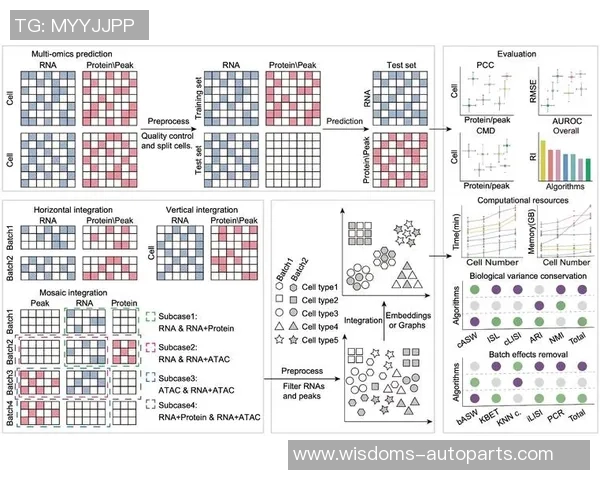 西安足球队在钻石联赛中的状态分析与表现评估